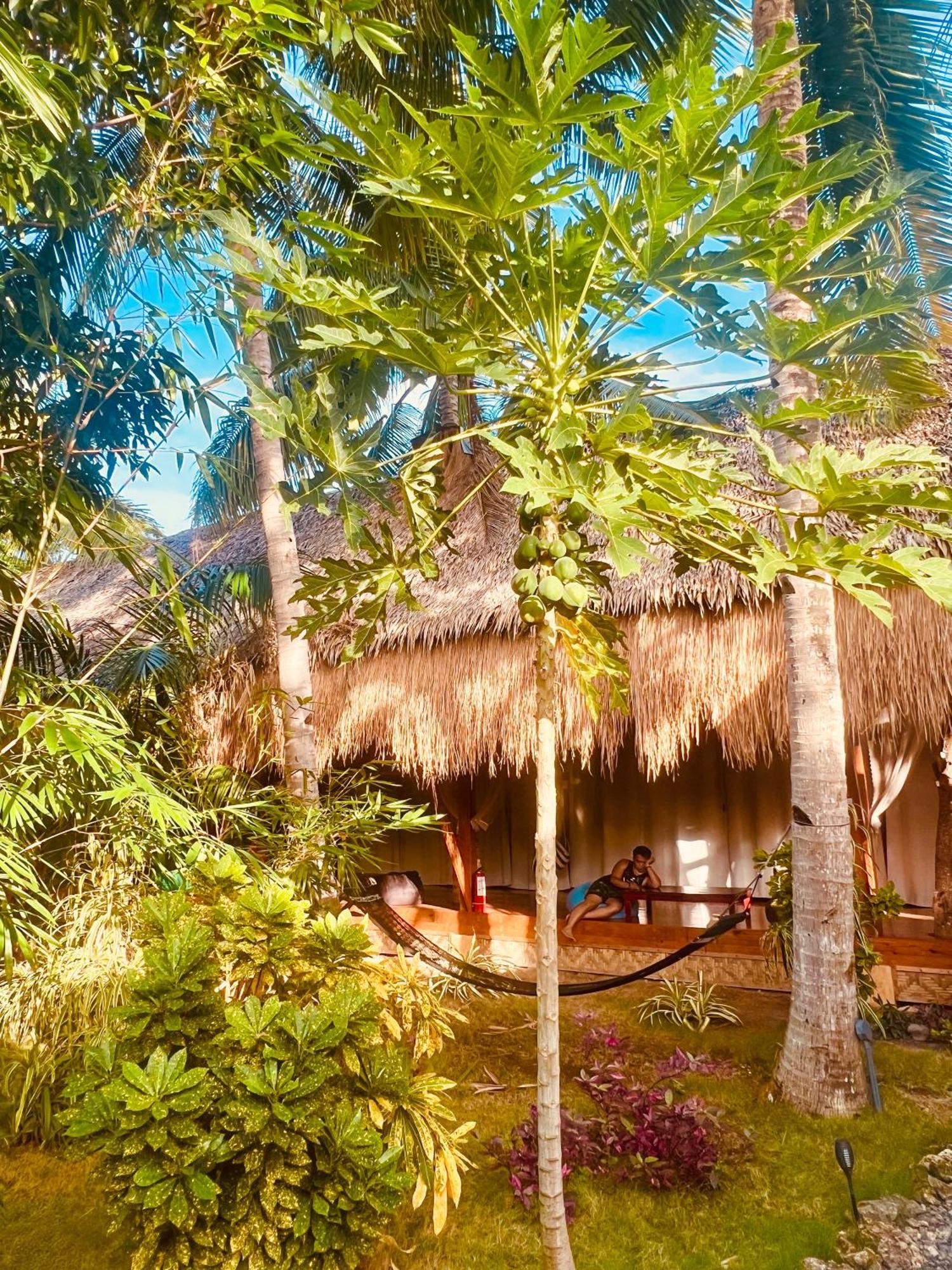 Nautilus Hostel & Hammocks Đảo Đảo Panglao Ngoại thất bức ảnh