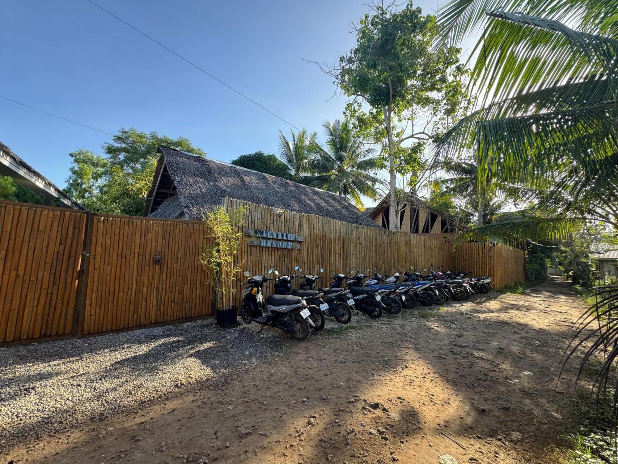 Nautilus Hostel & Hammocks Đảo Đảo Panglao Ngoại thất bức ảnh